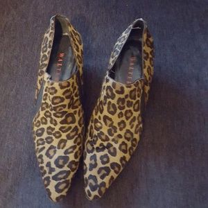 Walter Steiger size 36